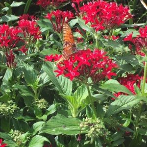 Meet your Posher, Anabel